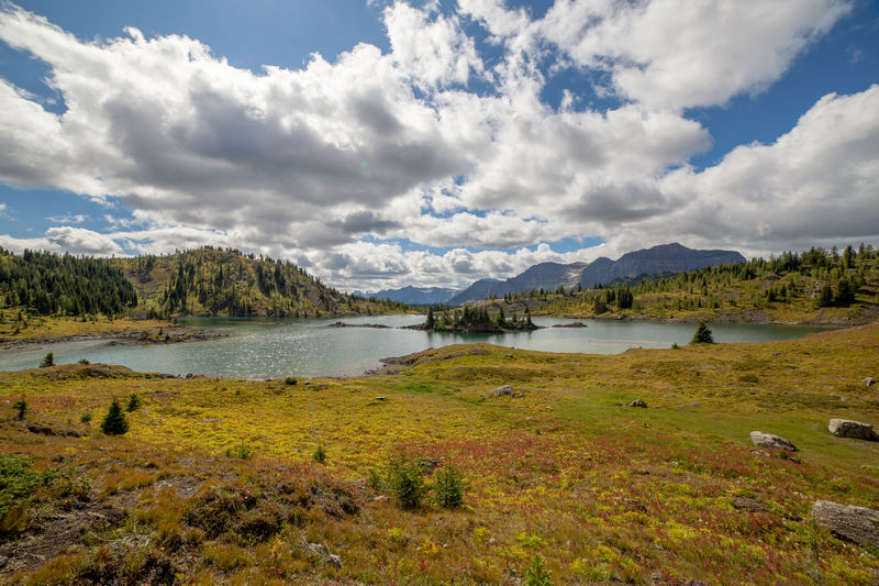 Volvemos a las Rockies 2019 - Blogs de Canada - Día 9: Sunshine Meadows y rumbo a Montana (9)