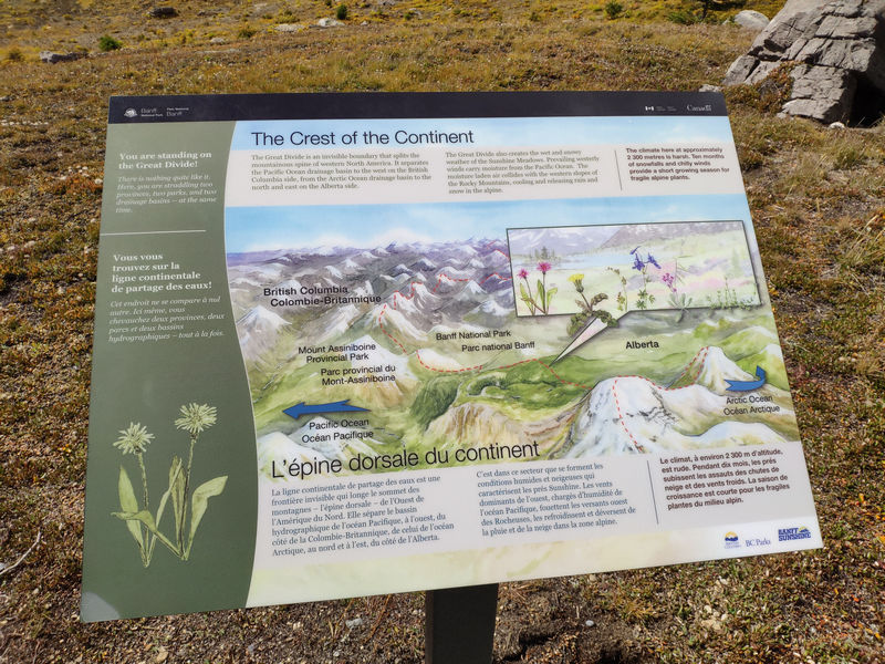 Volvemos a las Rockies 2019 - Blogs de Canada - Día 9: Sunshine Meadows y rumbo a Montana (10)