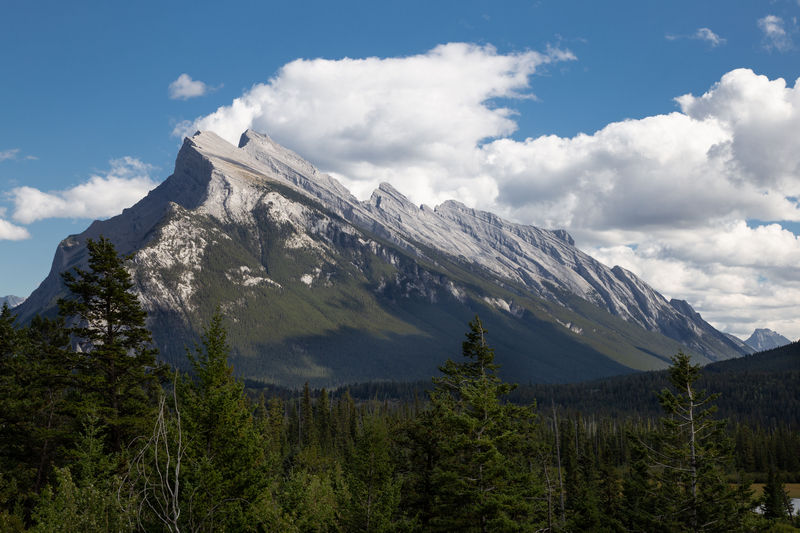 Volvemos a las Rockies 2019 - Blogs de Canada - Día 9: Sunshine Meadows y rumbo a Montana (12)