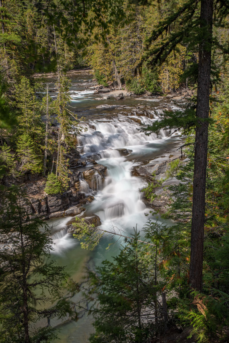 Día 12: Haystack Pass, McDonald Falls y abandonamos Glacier - Volvemos a las Rockies 2019 (19)